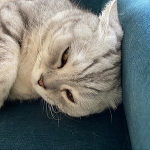 Meet your Posher, Resolve